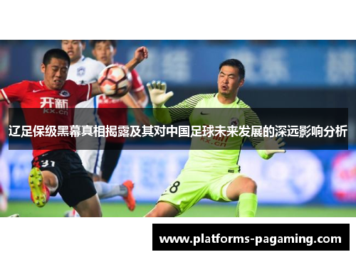 辽足保级黑幕真相揭露及其对中国足球未来发展的深远影响分析