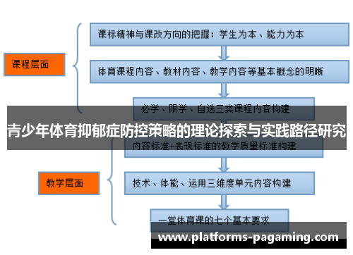 青少年体育抑郁症防控策略的理论探索与实践路径研究