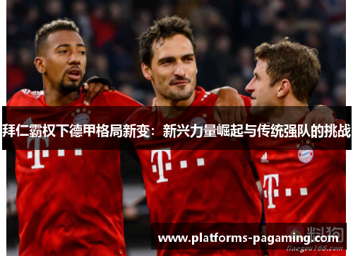 拜仁霸权下德甲格局新变：新兴力量崛起与传统强队的挑战