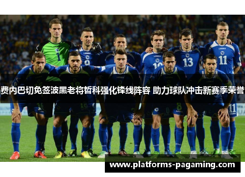 费内巴切免签波黑老将哲科强化锋线阵容 助力球队冲击新赛季荣誉