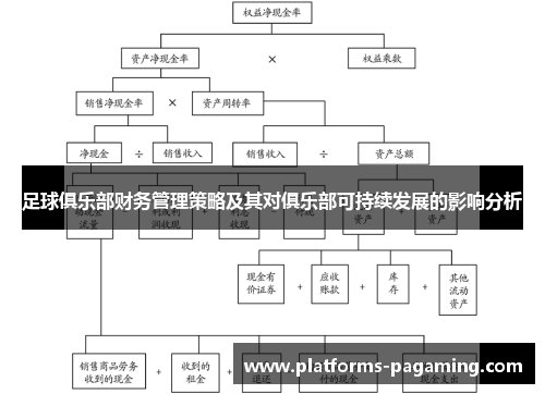 足球俱乐部财务管理策略及其对俱乐部可持续发展的影响分析 足球俱乐部财务管理策略及其对俱乐部可持续发展的影响分析