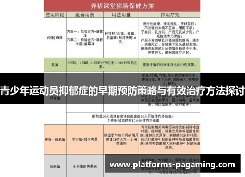 青少年运动员抑郁症的早期预防策略与有效治疗方法探讨