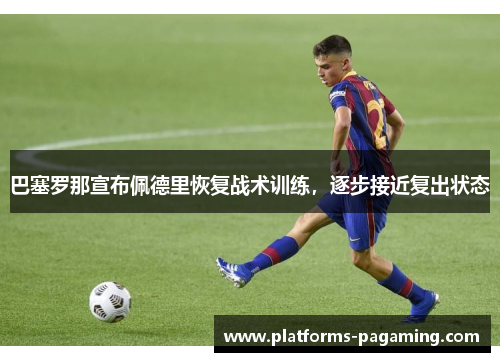 巴塞罗那宣布佩德里恢复战术训练，逐步接近复出状态